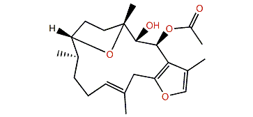 2-Acetyl pachyclavulariadiol